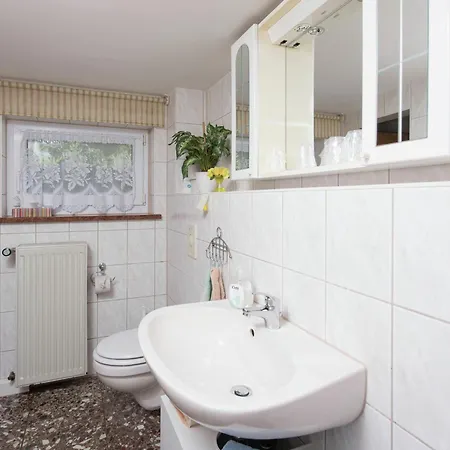 Tranquil Holiday In Unterwurschnitz Saxony With Terrace And Garden
