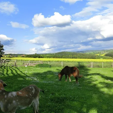 Tranquil Holiday In Unterwurschnitz Saxony With Terrace And Garden *